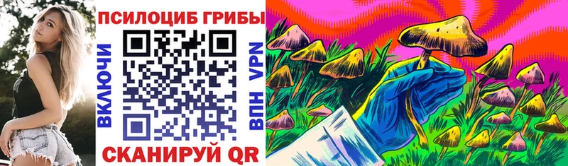 Галлюциногенные грибы ЛСД Тосно