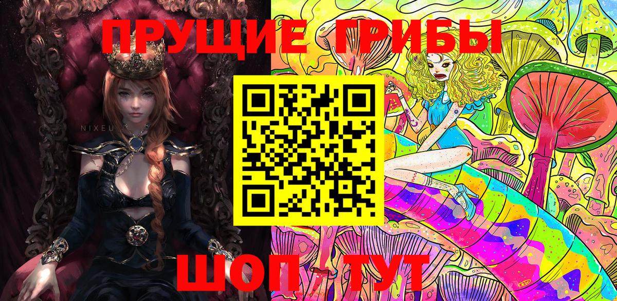 Псилоцибиновые грибы Psilocybe  Псилоцибиновые грибы мицелий  Вход с VPN  Тосно 