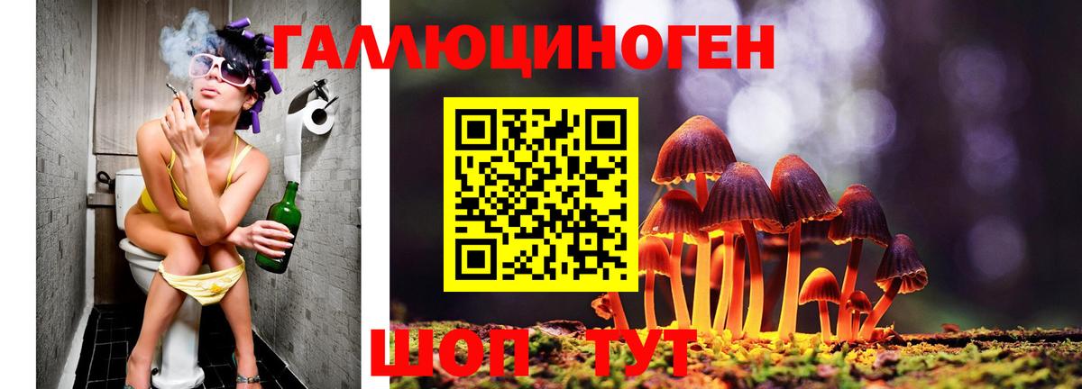 Галлюциногенные грибы прущие грибы Тосно